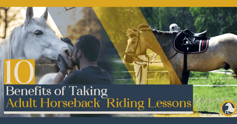 Adult Horseback Riding Lessons