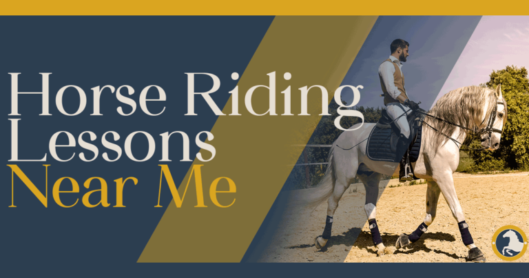 Horse Riding Lessons Near Me