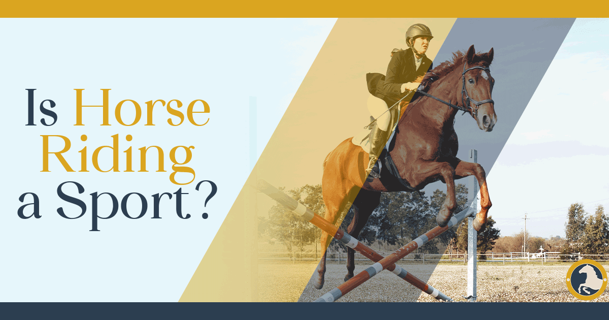 Is Horse Riding a Sport?