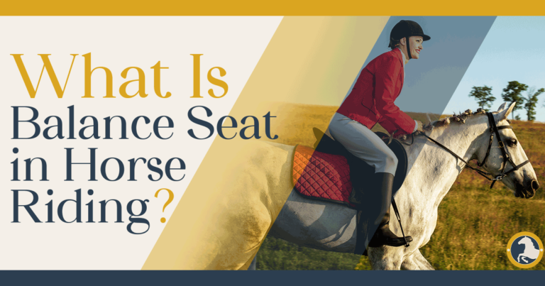 What Is Balance Seat in Horse Riding